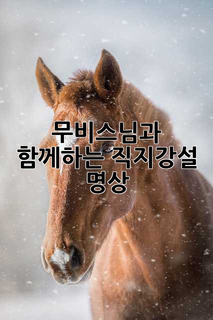 무비스님과 함께하는 직지강설 명상