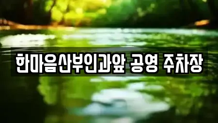 한마음산부인과앞 공영 주차장