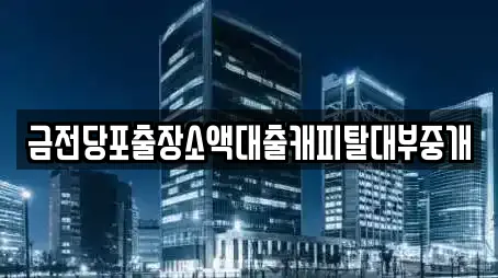 금전당포출장소액대출캐피탈대부중개