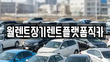 월렌트장기렌트플랫폼직카