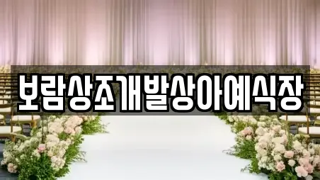 보람상조개발상아예식장