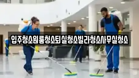 입주청소원룸청소퇴실청소빌라청소사무실청소