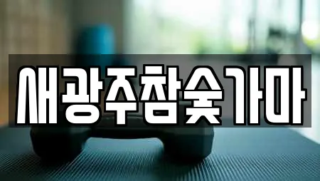 새광주참숯가마