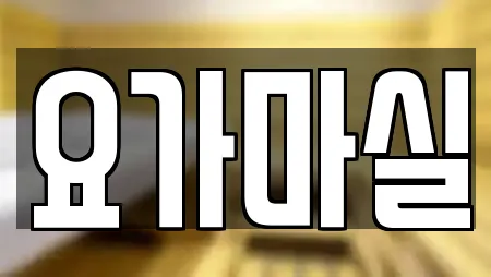 요가 업체 보러가기 교동 22건