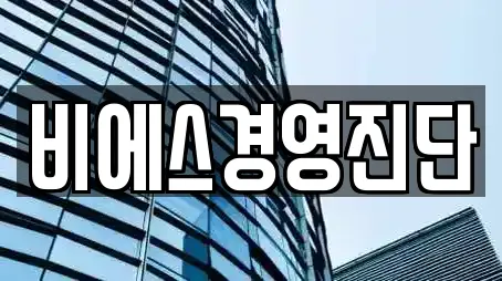 비에스경영진단