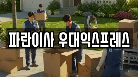 파란이사 우대익스프레스