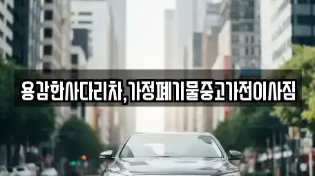 7곳의 중고차 업체 (대전광역시 동구 천동)