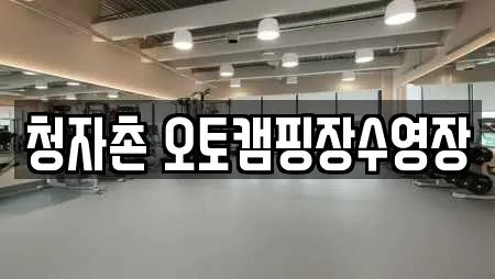 청자촌 오토캠핑장수영장