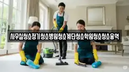 사무실청소정기청소병원청소계단청소학원청소청소용역
