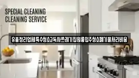 유품정리업체특수청소고독사쓰레기집원룸입주청소폐기물처리비용