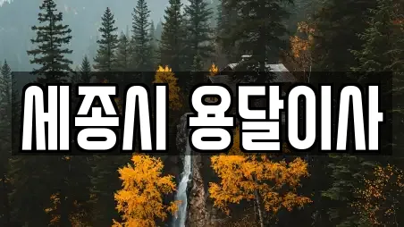 세종시 용달이사