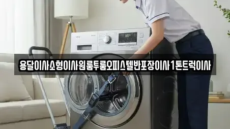 여수시 교동 이사,포장이사,원룸이사,사무실이사,용달이사,이삿짐보관 가격 12