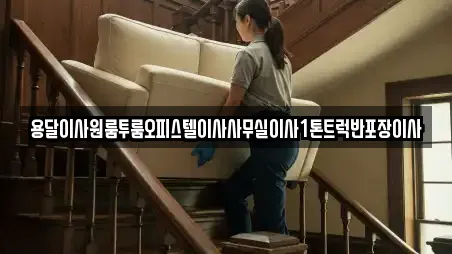 용달이사원룸투룸오피스텔이사사무실이사1톤트럭반포장이사