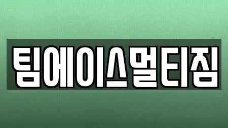 팀에이스멀티짐