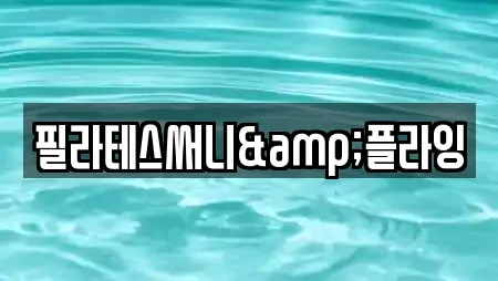 필라테스써니&플라잉