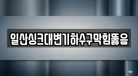 일산싱크대변기하수구막힘뚫음