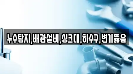 누수탐지,배관설비,싱크대,하수구,변기뚫음