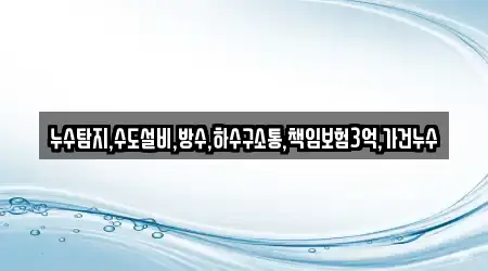 누수탐지,수도설비,방수,하수구소통,책임보험3억,가건누수