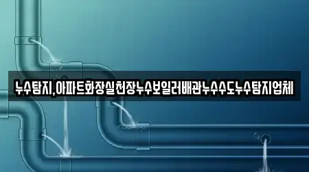 누수탐지,아파트화장실천장누수보일러배관누수수도누수탐지업체