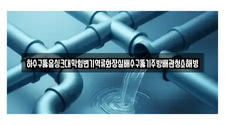 하수구뚫음싱크대막힘변기역류화장실배수구뚫기주방배관청소해빙