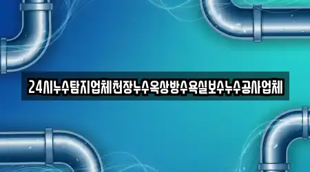 24시누수탐지업체천장누수옥상방수욕실보수누수공사업체