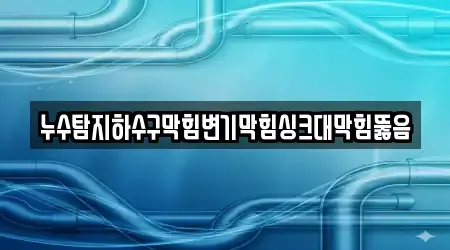 누수탐지하수구막힘변기막힘싱크대막힘뚫음