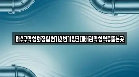 하수구막힘화장실변기소변기싱크대배관막힘역류뚫는곳
