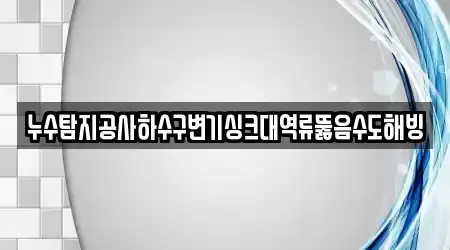 누수탐지공사하수구변기싱크대역류뚫음수도해빙