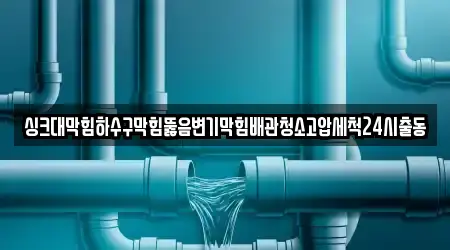 싱크대막힘하수구막힘뚫음변기막힘배관청소고압세척24시출동