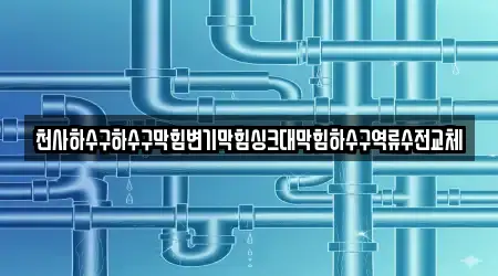 광주 대산동 변기막힘 13곳 최신 정보