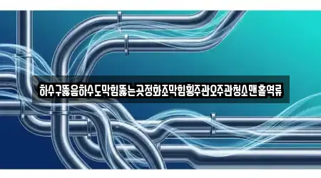 하수구뚫음하수도막힘뚫는곳정화조막힘횡주관오주관청소맨홀역류