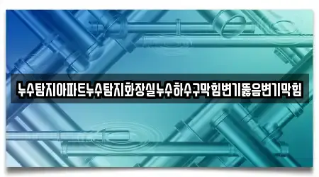 누수탐지아파트누수탐지화장실누수하수구막힘변기뚫음변기막힘