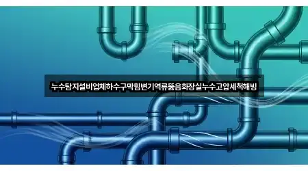 누수탐지설비업체하수구막힘변기역류뚫음화장실누수고압세척해빙