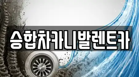 대전 낭월동 배수관 막힘 1곳 어디서 찾지?