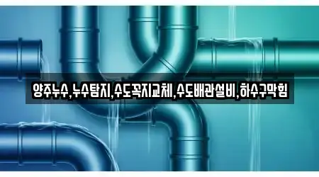 양주누수,누수탐지,수도꼭지교체,수도배관설비,하수구막힘