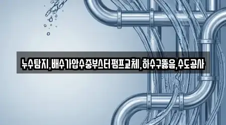 누수탐지,배수가압수중부스터펌프교체,하수구뚫음,수도공사