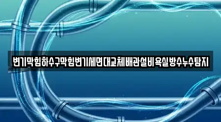 변기막힘하수구막힘변기세면대교체배관설비욕실방수누수탐지