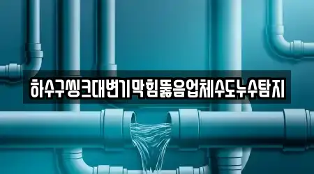 하수구씽크대변기막힘뚫음업체수도누수탐지