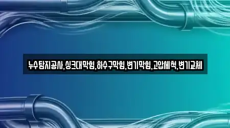 누수탐지공사,싱크대막힘,하수구막힘,변기막힘,고압세척,변기교체