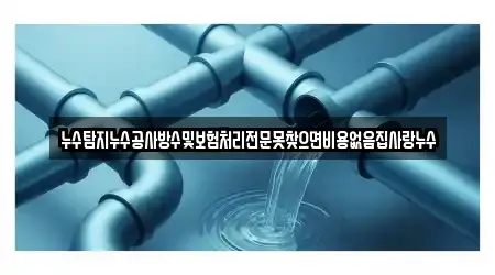 누수탐지누수공사방수및보험처리전문못찾으면비용없음집사랑누수