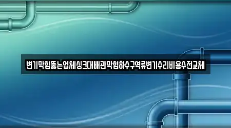 변기막힘뚫는업체싱크대배관막힘하수구역류변기수리비용수전교체