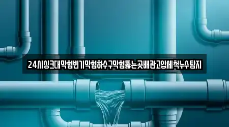 24시싱크대막힘변기막힘하수구막힘뚫는곳배관고압세척누수탐지