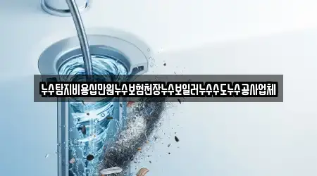 누수탐지비용십만원누수보험천장누수보일러누수수도누수공사업체
