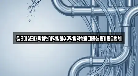 씽크대싱크대막힘변기막힘하수구막힘막혔을때뚫는뚫기뚫음업체