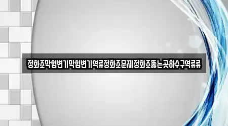 정화조막힘변기막힘변기역류정화조문제정화조뚫는곳하수구역류류