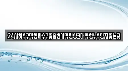 24시하수구막힘하수구뚫음변기막힘싱크대막힘누수탐지뚫는곳