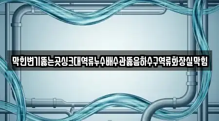 막힌변기뚫는곳싱크대역류누수배수관뚫음하수구역류화장실막힘