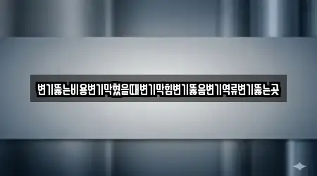 변기뚫는비용변기막혔을때변기막힘변기뚫음변기역류변기뚫는곳