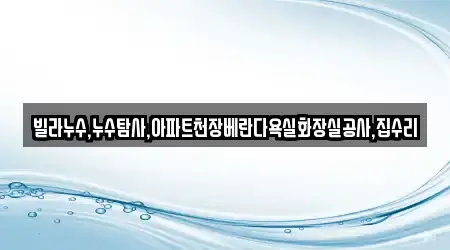 빌라누수,누수탐사,아파트천장베란다욕실화장실공사,집수리
