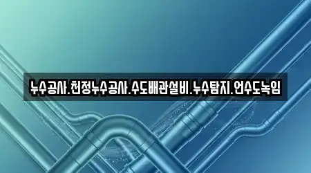 누수공사.천정누수공사.수도배관설비.누수탐지.언수도녹임